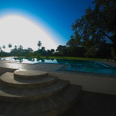 Birdsong Leisure Resort Tissamaharama Buitenkant foto