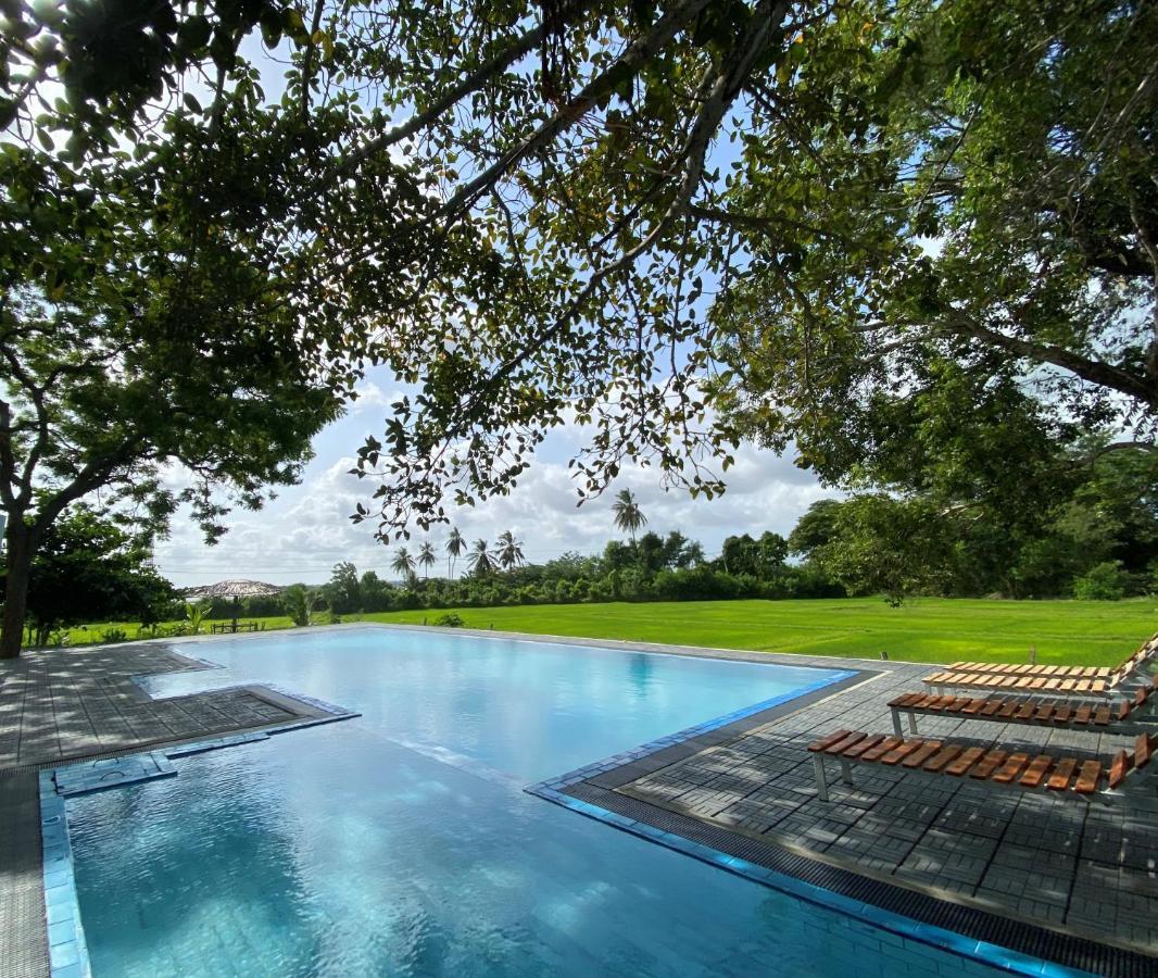 Birdsong Leisure Resort Tissamaharama Buitenkant foto