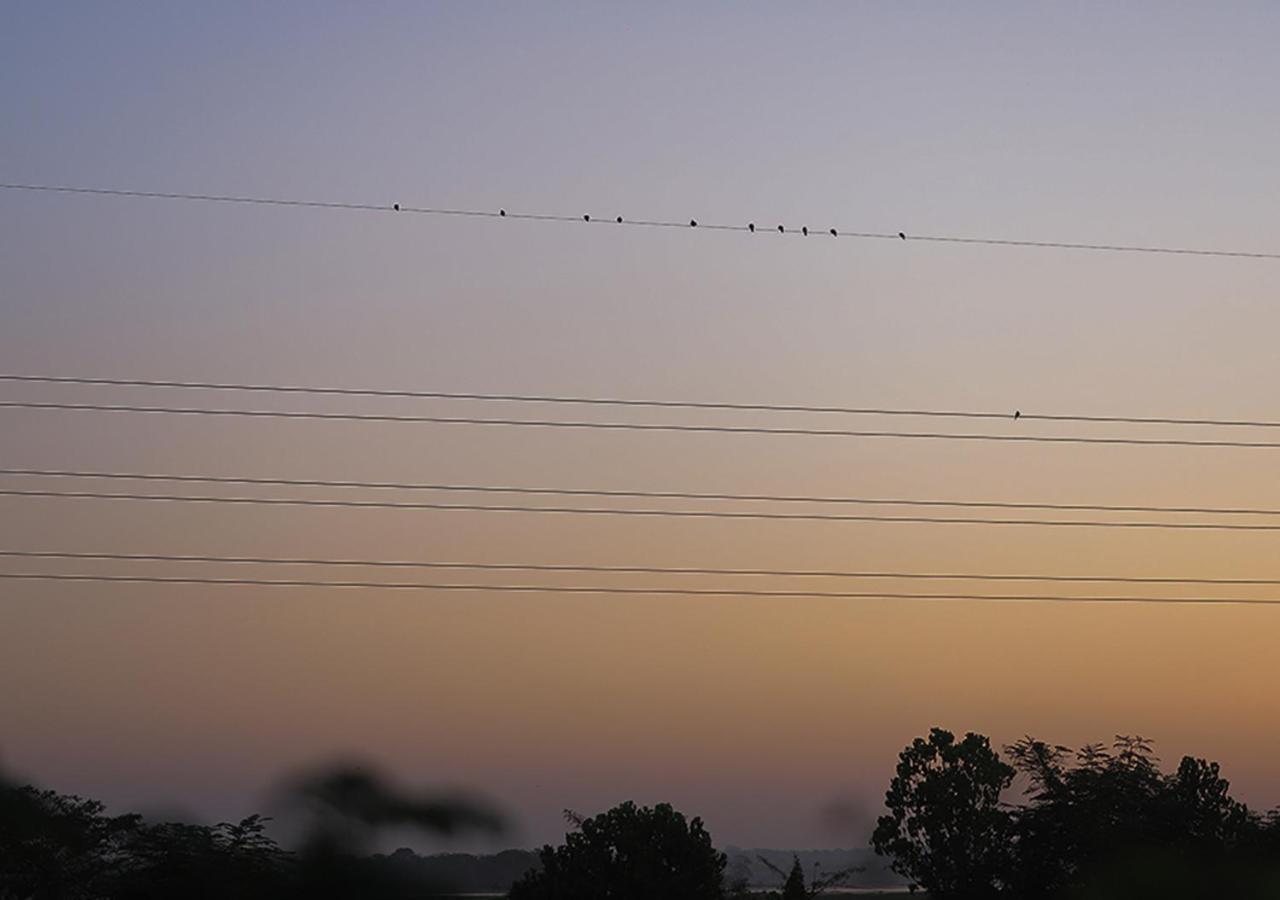 Birdsong Leisure Resort Tissamaharama Buitenkant foto