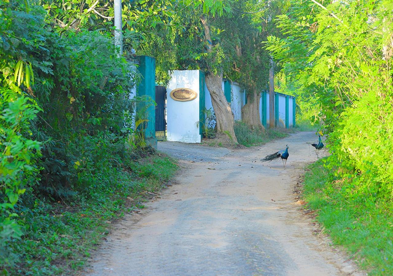 Birdsong Leisure Resort Tissamaharama Buitenkant foto